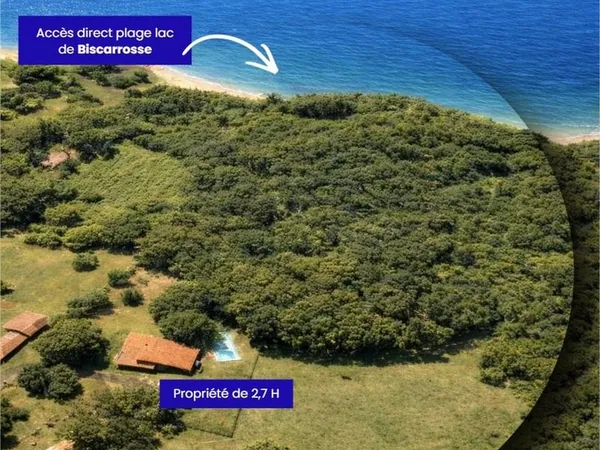 Propriété d'exception avec accès direct au lac de Biscarrosse