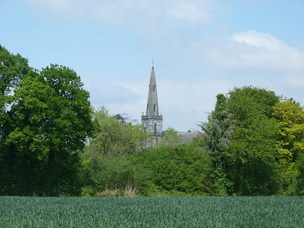Entre mur de bretagne et Corlay Corps de ferme en pierre à rénover sur 8 440 m² de terrain