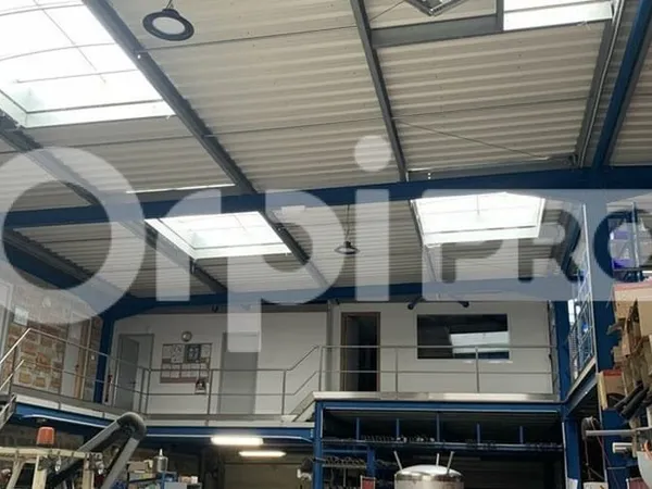 Local d'activité 805 m²