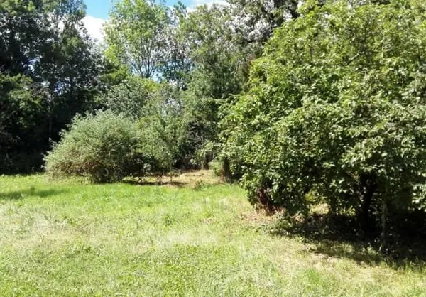 21490 NORGES LA VILLE - Terrain constructible Norges La Ville 1 760M²