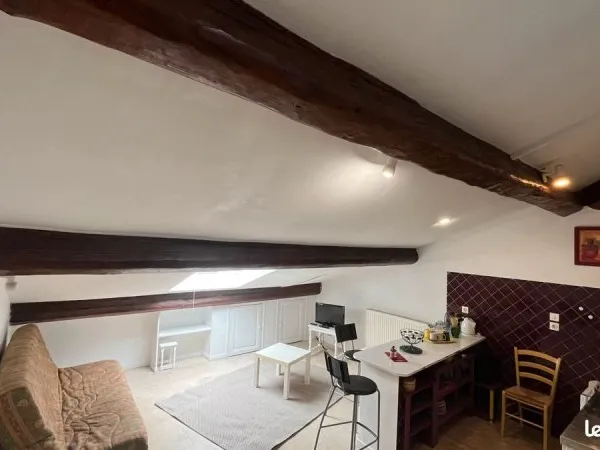 Grand Studio avec alcôve hyper centre St Etienne