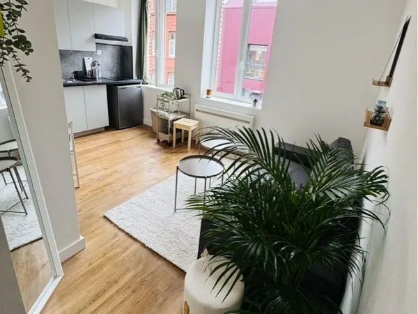 Duplex 33 m² meublé - Dernier étage - Très calme