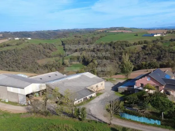 Exploitation laitière 1 pièce