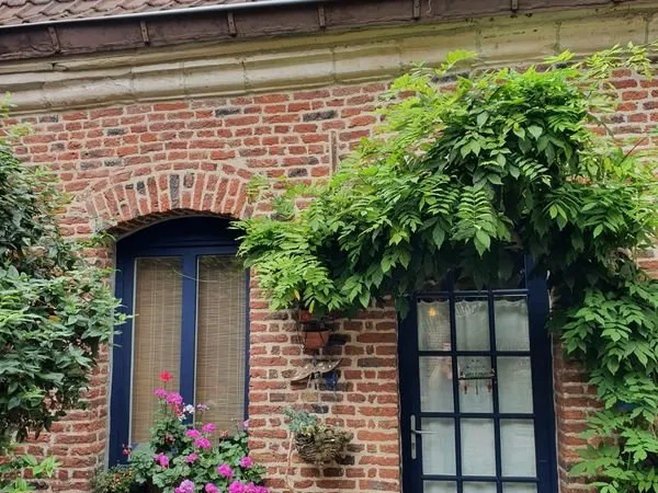 Maison vieux Lille à louer juin