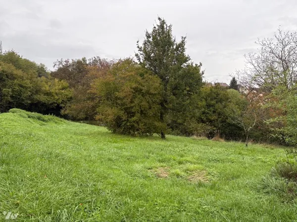 Terrain 813 m²