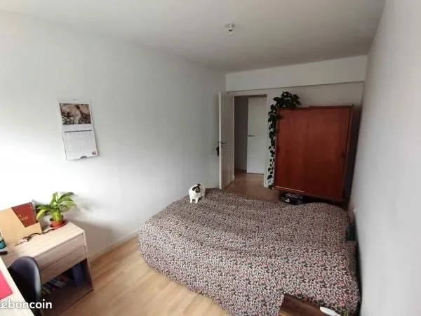 Chambre à louer (collocation)