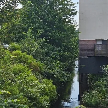 Appartement T4 à cheval sur la rivière