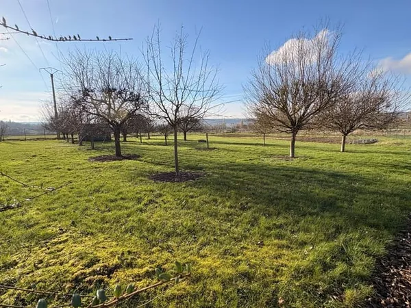Terrain 3140 m²