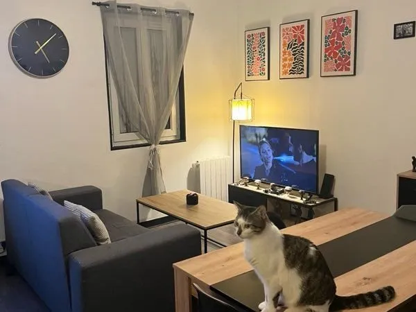 Appartement t1 au 2e étage