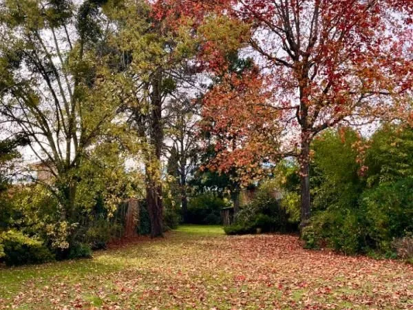 Terrain 452 m² Bordeaux