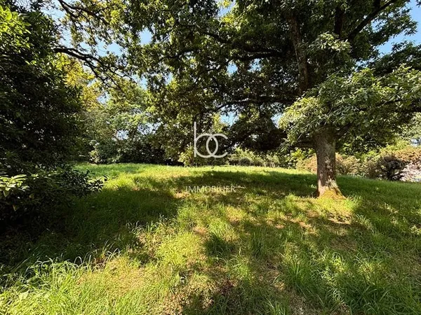 Terrain 561 m²