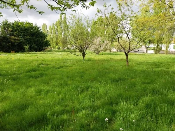 Terrain 466 m²