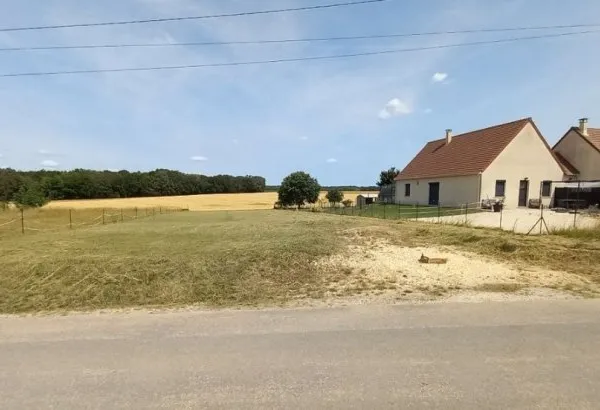 Terrain 1249 m²