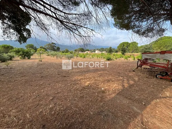 Terrain 13230 m²