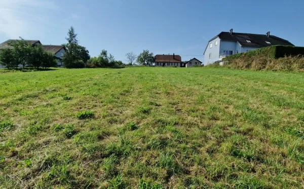 Terrain 3251 m²