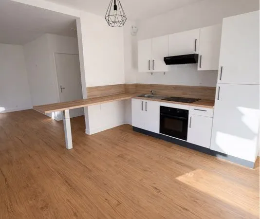 Appartement rénové 53m2 - grande pièce de vie - parking