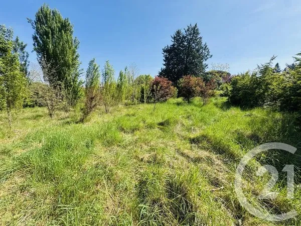 Terrain 1036 m²