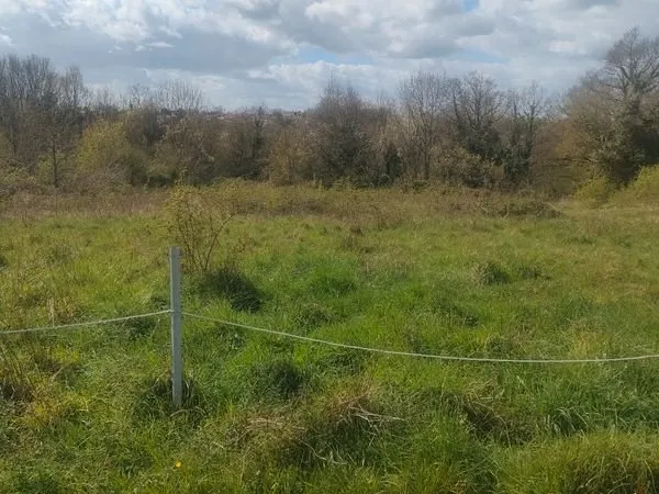 Terrain agricole boisé
