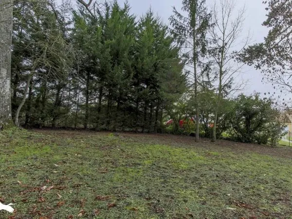 Terrain 1006 m²