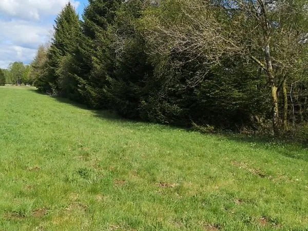 Terrain loisir