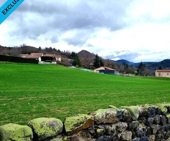 À SAISIR ! 1550 m² constructible plein Sud , emplacement