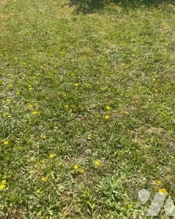 Terrain 985 m²