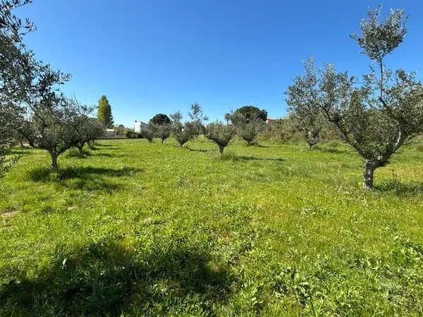 Terrain 2352 m²