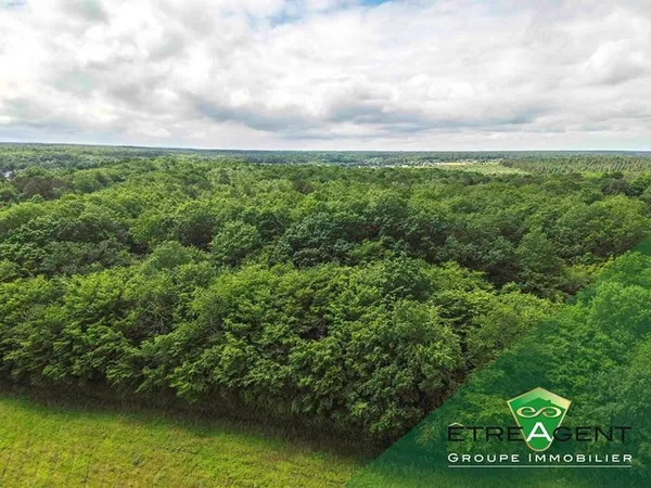 Terrain 64703 m²