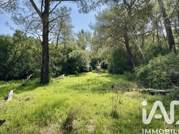 Terrain 89951 m²