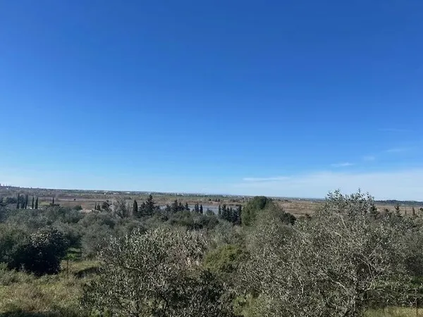 Mazet avec piscine entre Alpilles et Arles