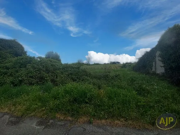 Terrain de 11 865 m² à Saint Germain d'Esteuil
