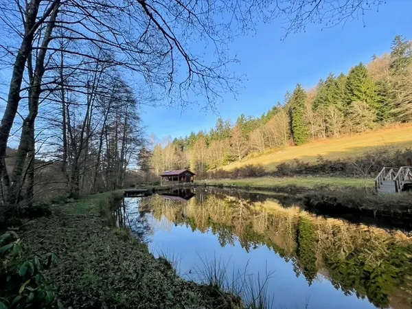 Chalet à vendre 3 pièces LE THOLY (88)