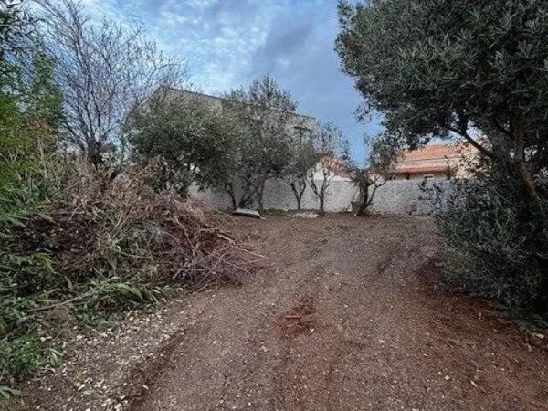 Terrain secteur Marvivo
