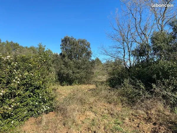 Terrain agricole 2,4 hectares