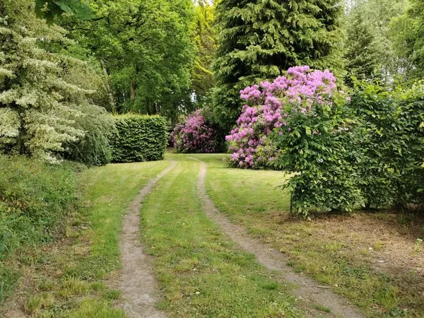 Terrain 1600 m²