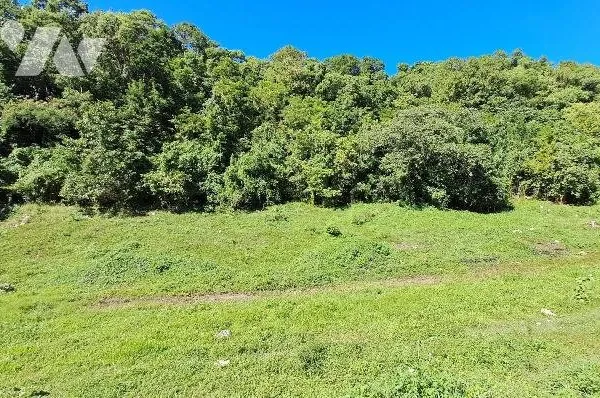 Terrain 2573 m²