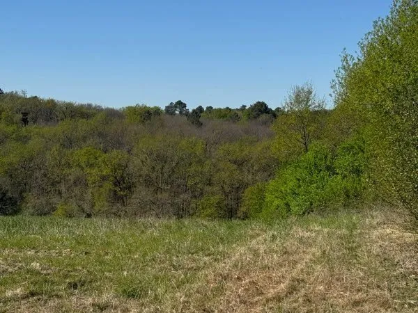 Terrain à bâtir