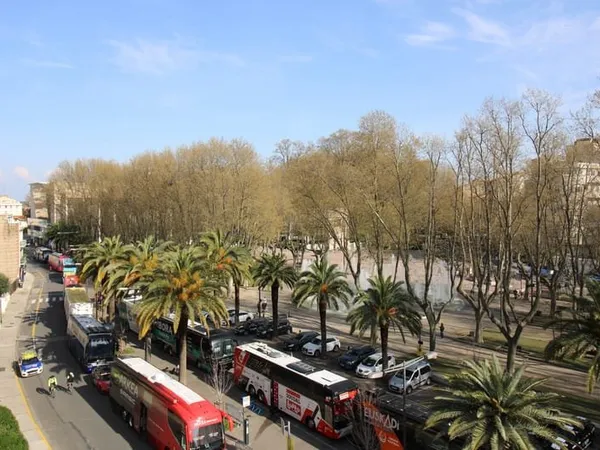 TRES BEL F2 AVEC PARKING COURS PALMAROLE