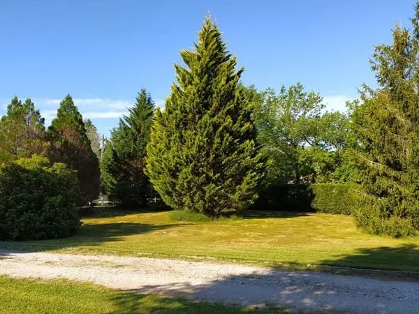 Terrain 993 m²
