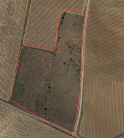 Terrain agricole 1,5 hectare