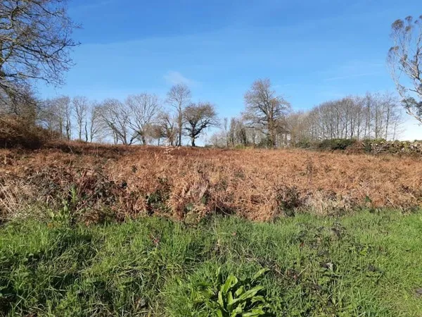 Terrain constructible d'env. 2.500 m2 près des commodités