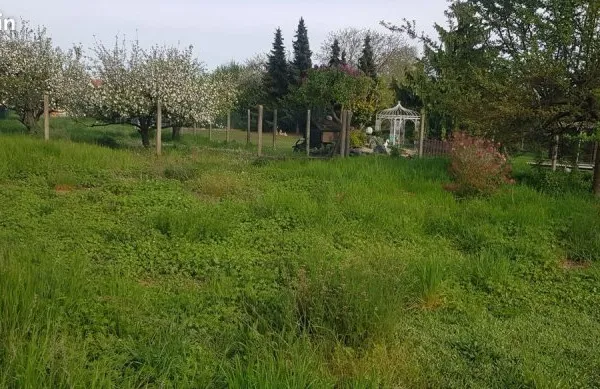 TB TERRAIN 9 ares ares constructible 28 900 euros