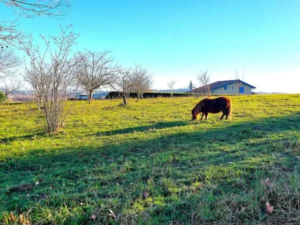 Guiche - Terrain plat sur les hauteurs