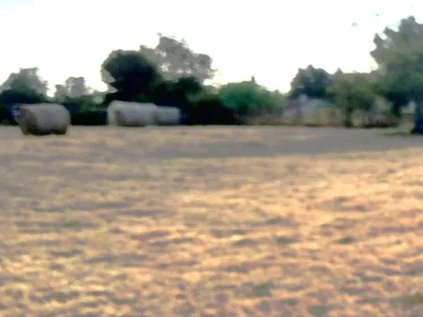 Terrain à bâtir
