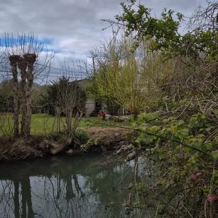 Terrain de Loisirs
