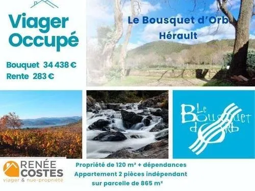 Viager occupé - H70 ans - LE BOUSQUET D ORB (34260)