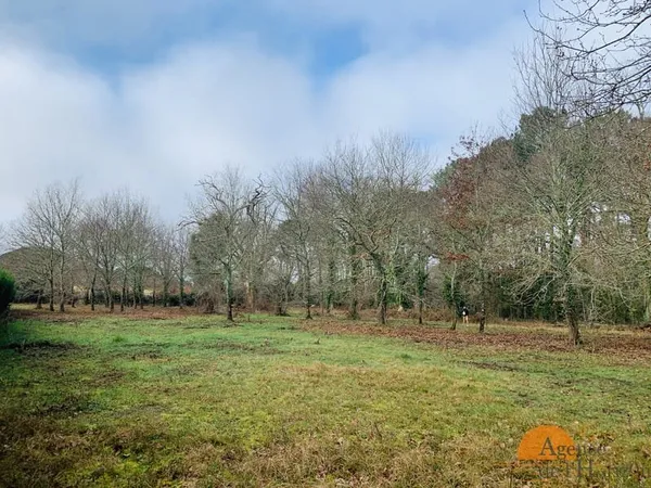 LÈGE-CAP-FERRET TERRAIN D'EXCEPTION EN LISIÈRE DE FORÊT