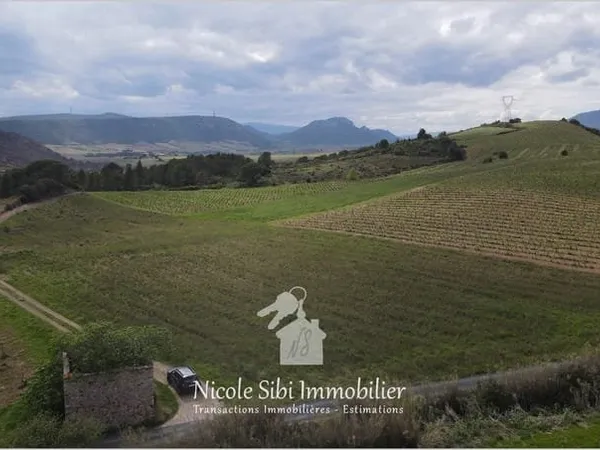 Terrain agricole à Tautavel