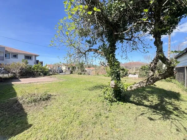 Terrain 300 m²