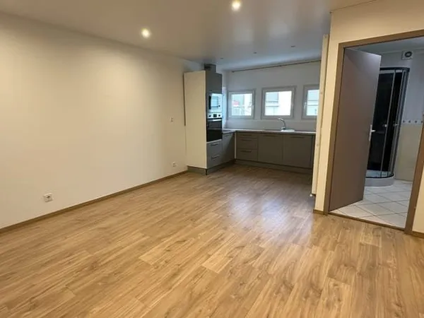 Immobilier Professionnel à vendre Annemasse
